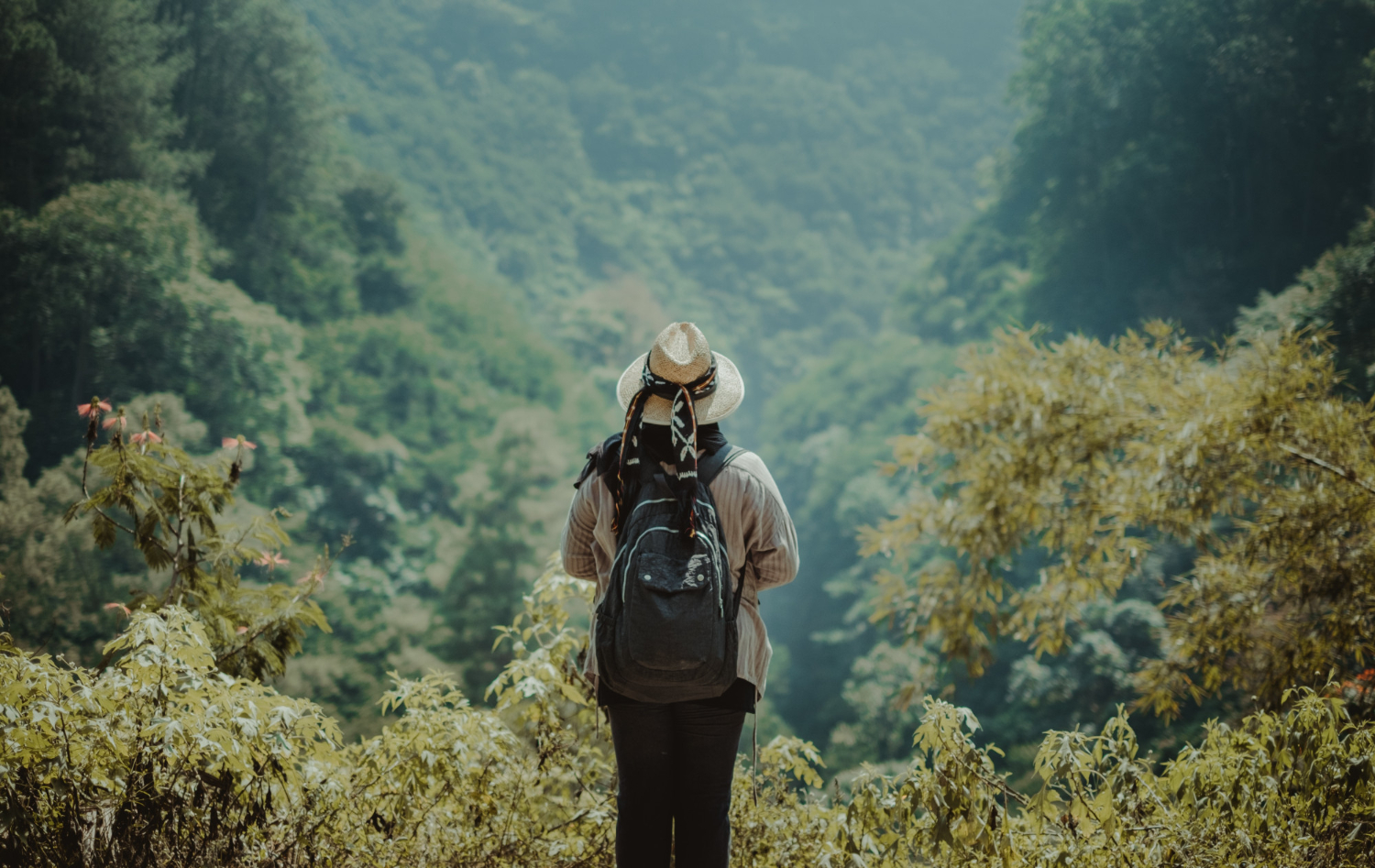 Hikes